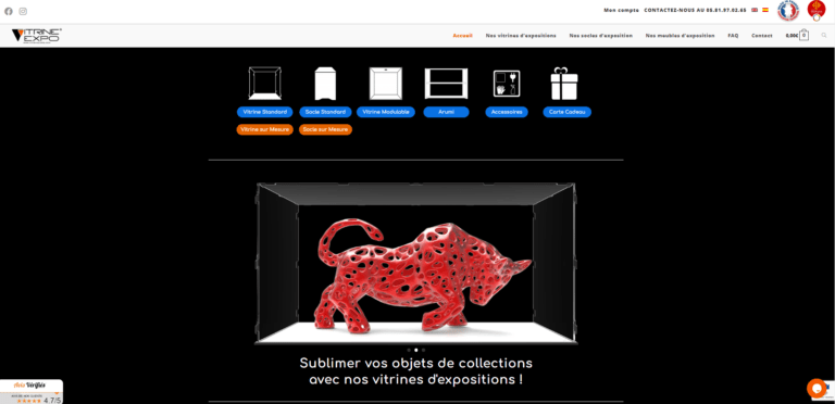 Accueil vitrine expo